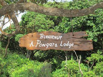 Pongara Lodge Libreville Eksteriør bilde